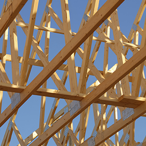 rooftrusses